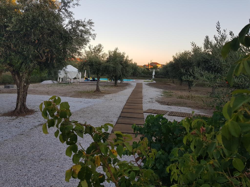 Oliveira Country House Figueira e Barros Екстериор снимка